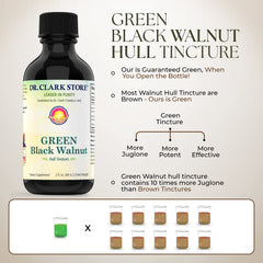 Dr Clark Store Herbal Cleanse Kit Flatlay, components arranged for easy protocol.