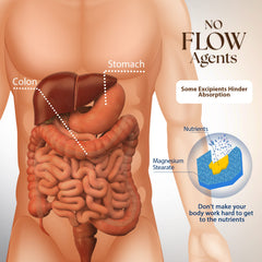 Dr Clark Store nervous system support visual with B1 bottle