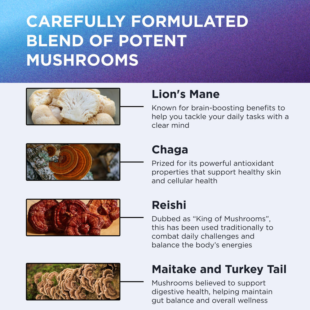 Mushroom blend capsules with Chaga, Maitake, Reishi and Turkey Tail by DR. EMIL NUTRITION