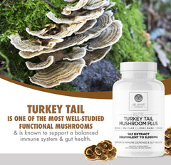 DR. EMIL NUTRITION mushroom-blend graphic highlights five-mushroom synergy.