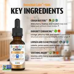 Dr. Green Mom herbal blend with mullein and cherry bark for bronchi comfort