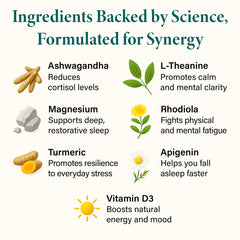 Label close-up highlighting Ashwagandha and L-Theanine ingredients.