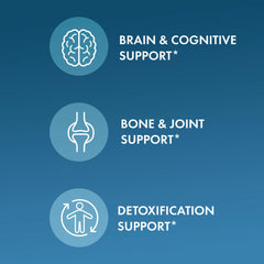 Dr. Mercola Magnesium Chewable Advanced two-pack offers ongoing support for daily wellness.