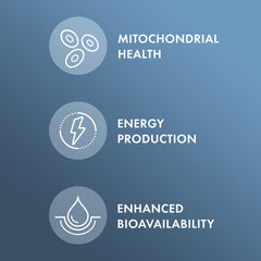 Fermentation process diagram illustrating advanced production for stabilized ubiquinol potency.