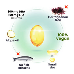 DR. MORITZ algae oil omega-3 softgels closeup highlighting DHA and EPA benefits.