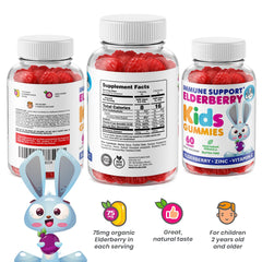 Front-label closeup shows elderberry, vitamin C, zinc for daily immune health