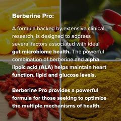 Digestive wellness setup with Berberine Pro bottle on counter.