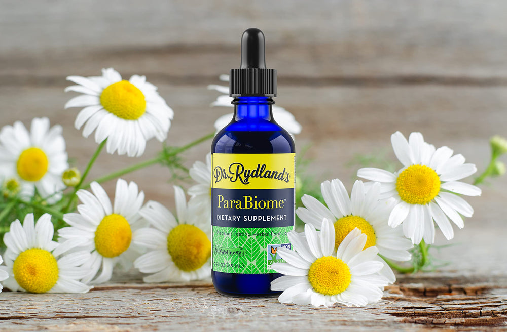 Dr. Rydland's ParaBiome clove bud closeup supporting overall comfort.