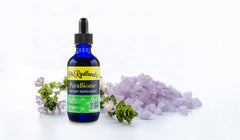 Dr. Rydland's ParaBiome olive leaf extract closeup benefiting digestion.