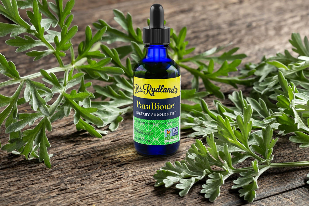 Dr. Rydland's ParaBiome thyme leaf closeup for aroma and balance.
