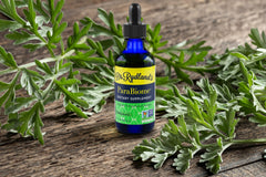 Dr. Rydland's ParaBiome thyme leaf closeup for aroma and balance.