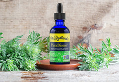 Dr. Rydland's ParaBiome wormwood herb closeup for gut harmony.