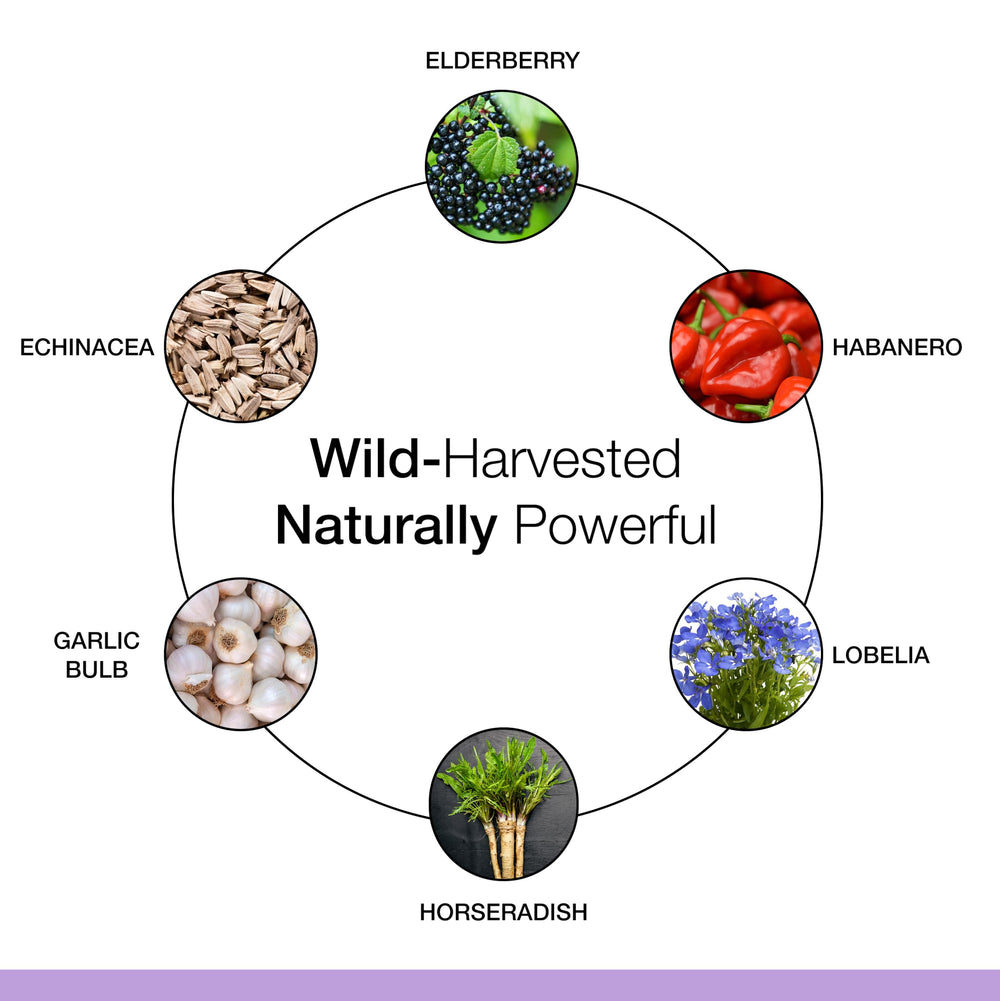 Ingredients chart showing over 20 organic herbs
