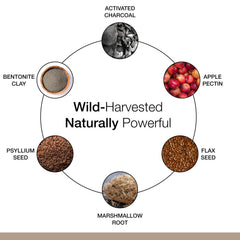 Close up of the herbal blend in Dr Schulze s Intestinal Formula 2.