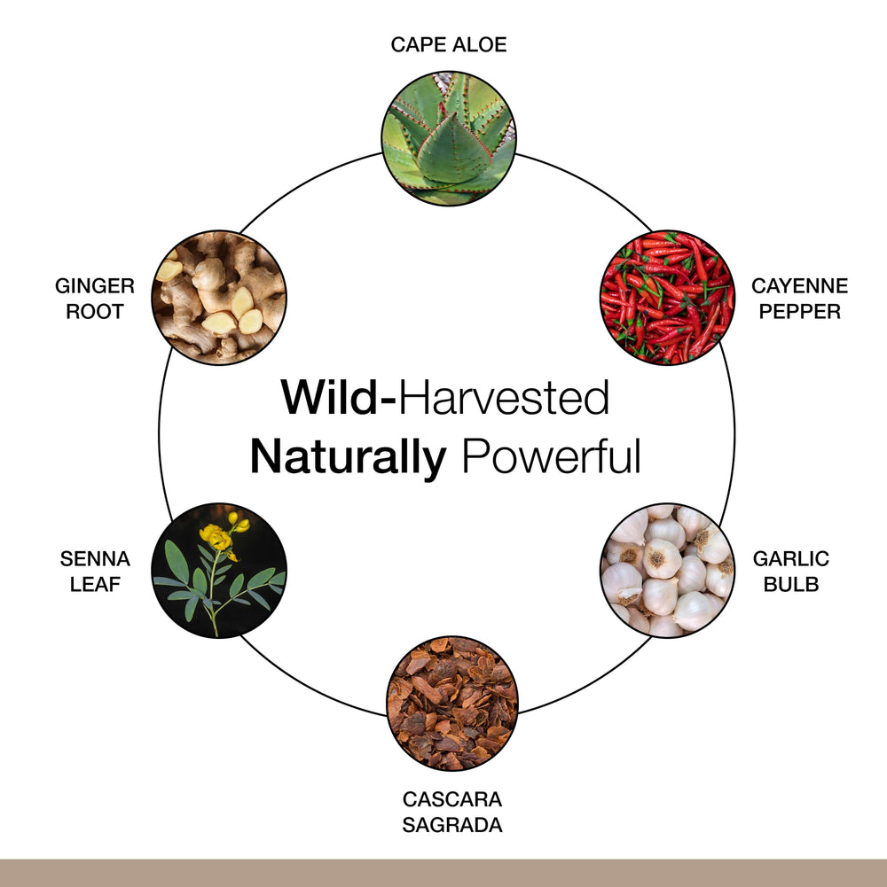 Dr. Schulze's Intestinal Formula 1 promoting gut health with herbal blend