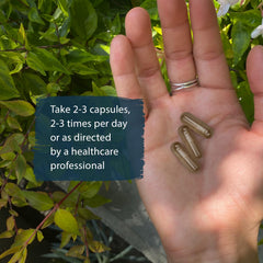 Dragon Herbs He Shou Wu capsules on wood surface for everyday vitality