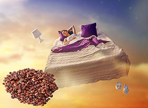 Dragon Herbs Lights Out packaging on shelf suggests a soothing nightly option.