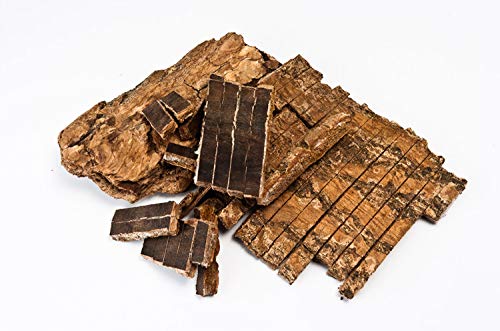 Dragon Herbs Return to Youth capsules visual detail suggesting traditional roots
