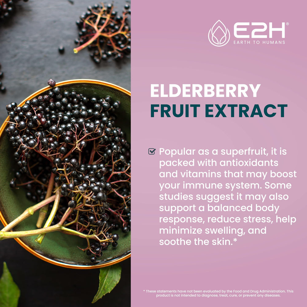 E2H Elderberry Syrup ingredients label highlights vegan, non-GMO formulation.