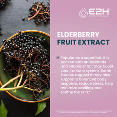 E2H Elderberry Syrup ingredients label highlights vegan, non-GMO formulation.