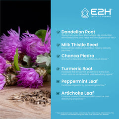 E2H Liver Cleanse Dandelion Root ingredient closeup for digestion.