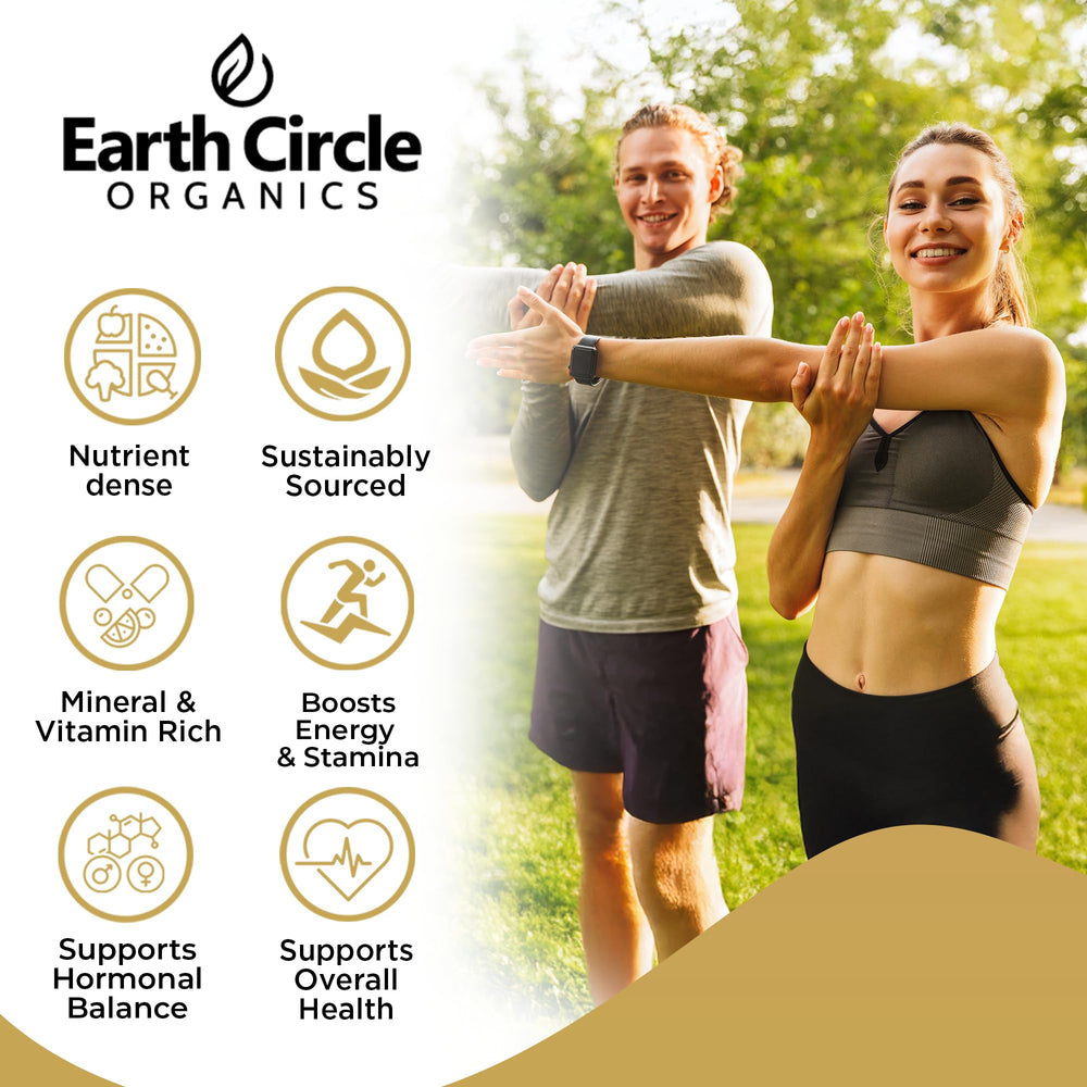Earth Circle Organics Yellow Maca Powder in a smoothie glass signals a nutritious energy boost.