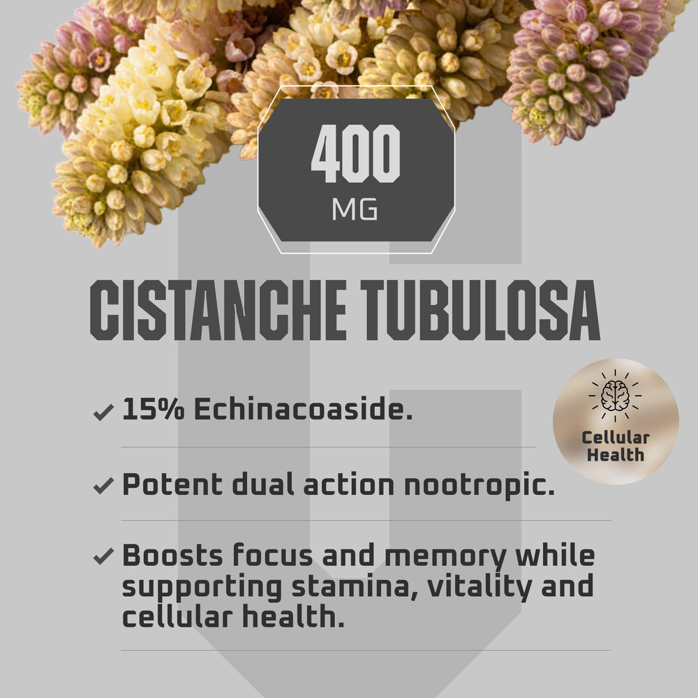 Earth Elixir Deserticola Tubulosa extract shot conveys a full-spectrum botanical profile.