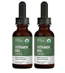 Earth Harmony Naturals B12 liquid drops bottle supports steady energy