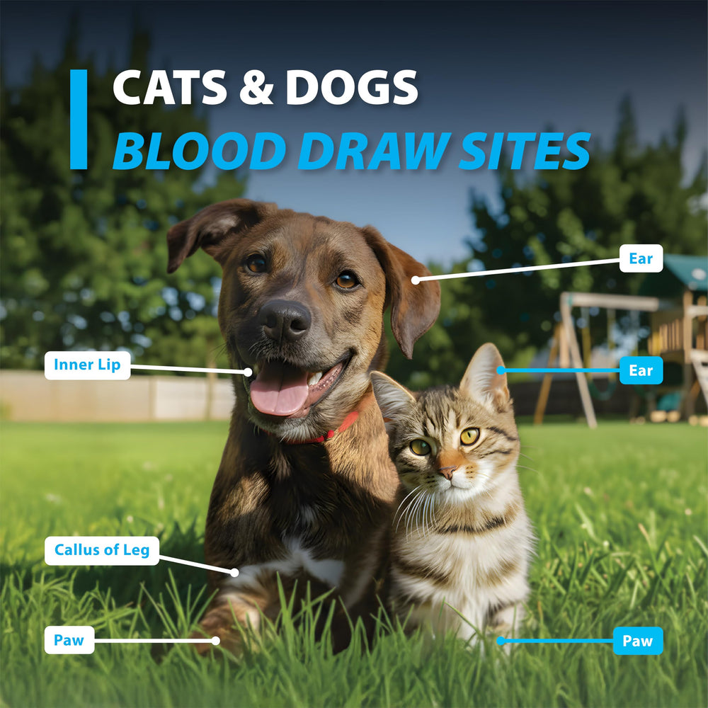 Easy Touch pet glucose test strips 50-count pack supports regular at-home monitoring.