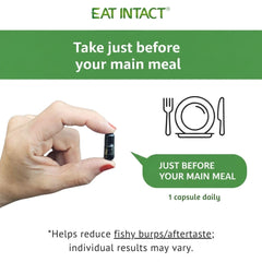 EAT INTACT polar lipids graphic suggests potential support for absorption.