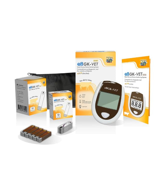 ebmonitor eBGKVET glucose-ketone monitor front view with clear display for quick readings