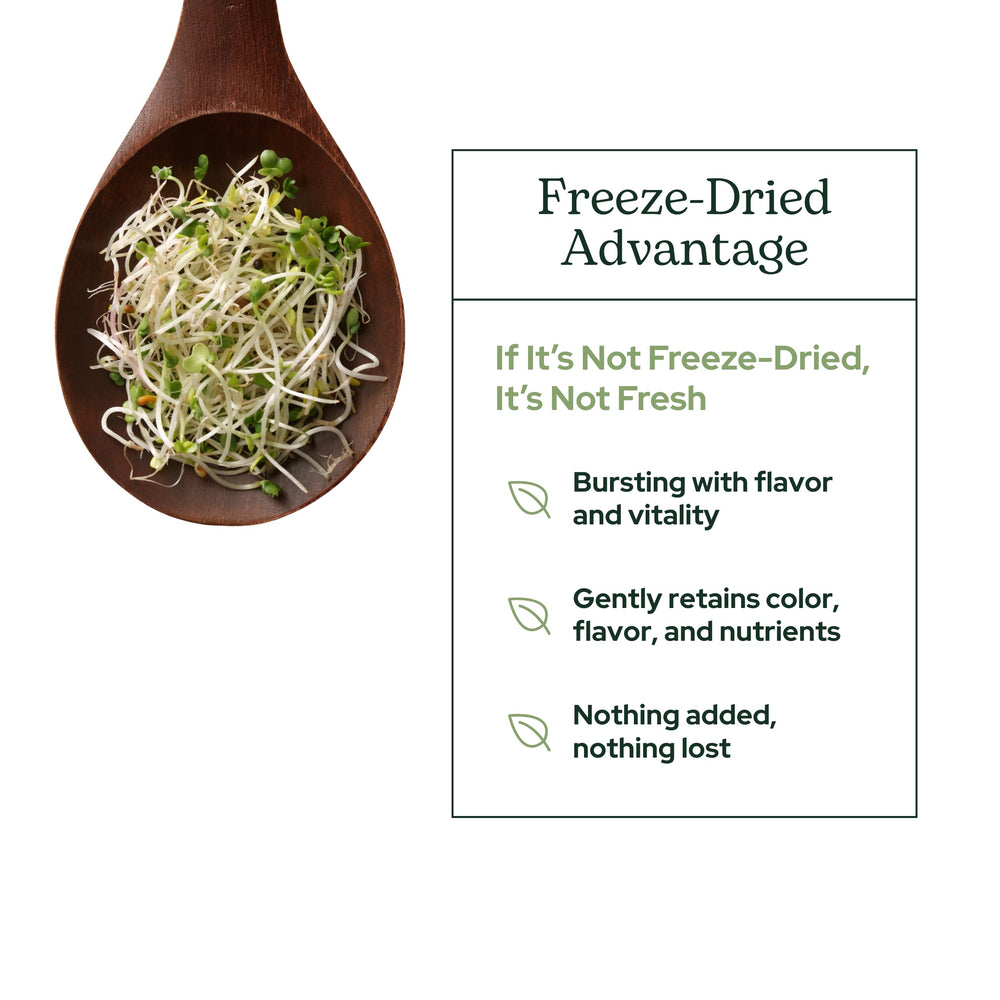 Spoonful of broccoli sprouts powder over breakfast bowl visualization