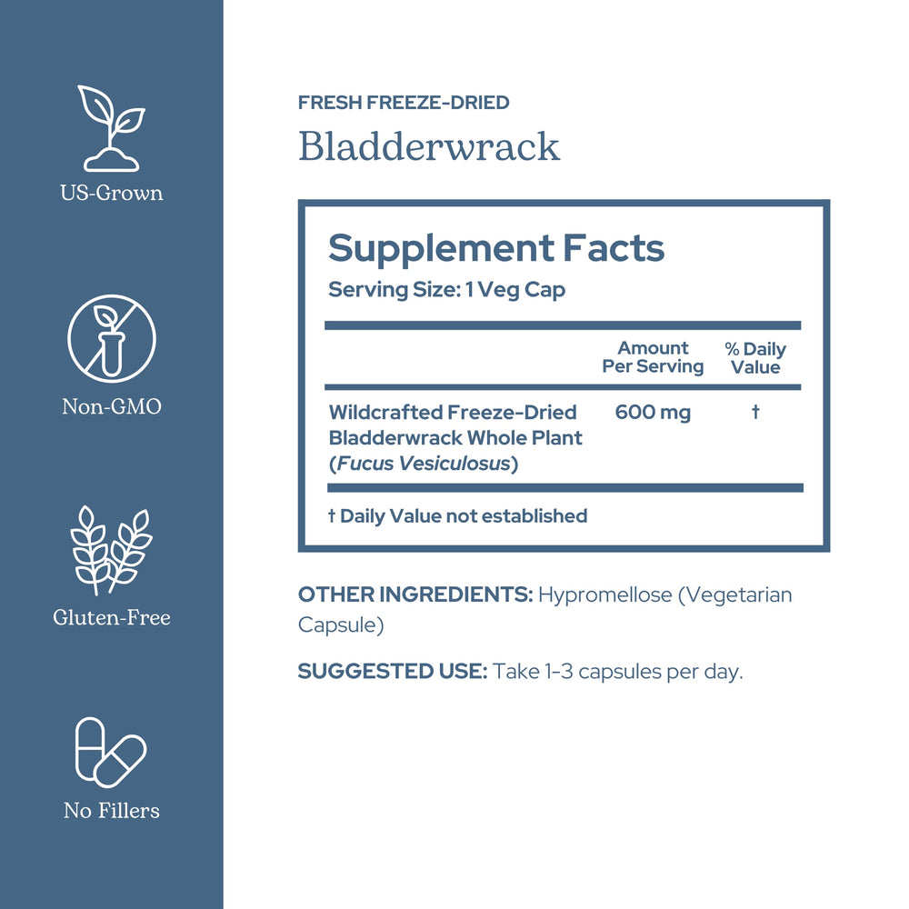 ECLECTIC INSTITUTE Eclectic Herb bladderwrack bottle side view for easy daily use