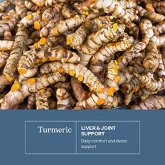 Eclectic Institute Eclectic Herb freeze-dried turmeric pieces retain nutrients for daily use.