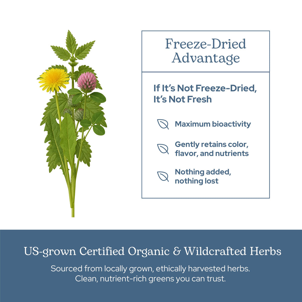 Eco-conscious packaging highlights non-GMO gluten-free vegan attributes of Eclectic Herb Lymph.
