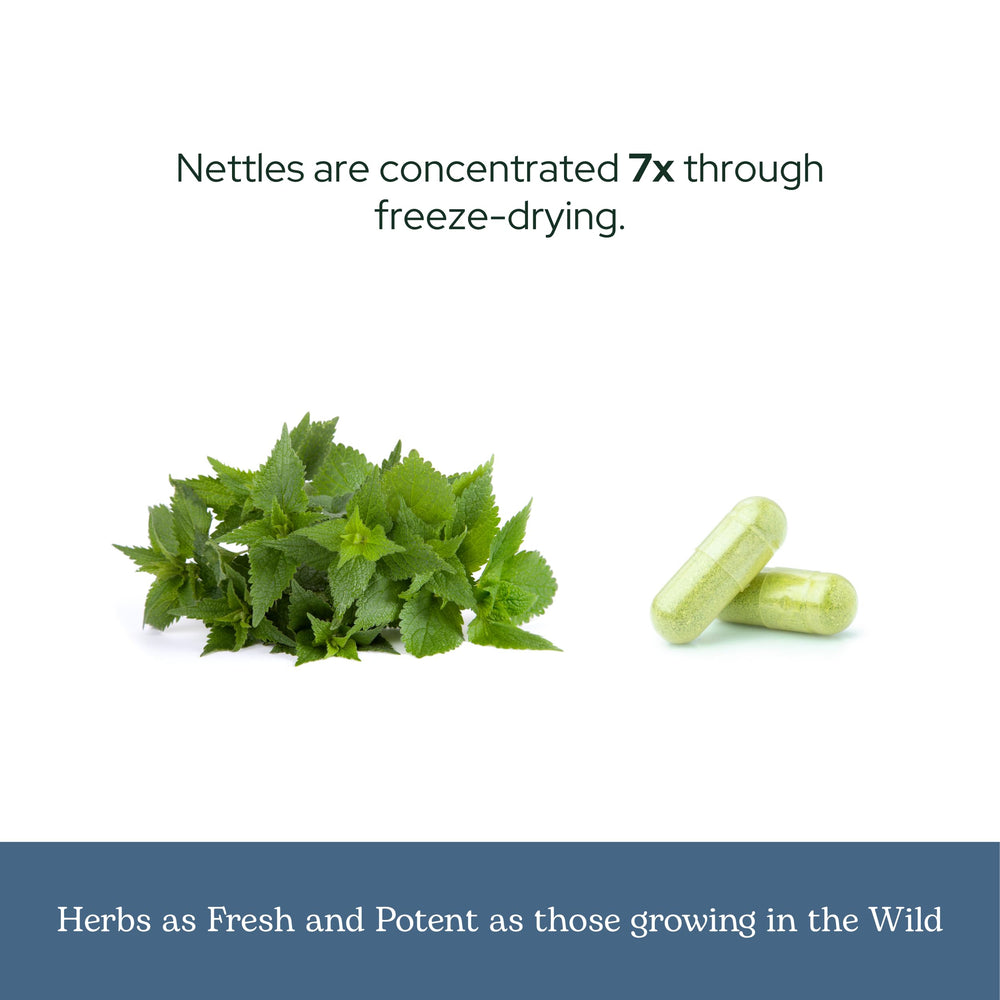 Eclectic Herb Non-GMO vegan capsules free from gluten and dairy