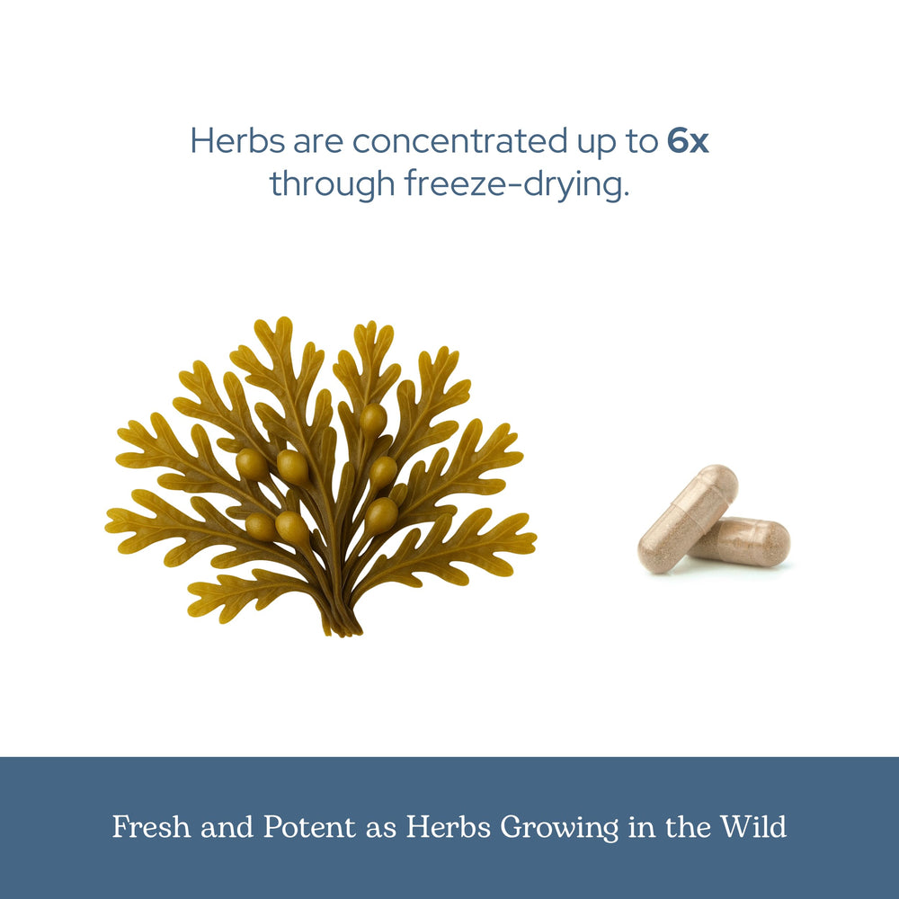 ECLECTIC INSTITUTE Eclectic Herb packaging and label highlights purity and dietary-friendly features
