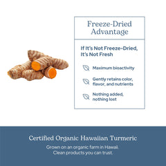 Eclectic Institute Eclectic Herb organic turmeric label close-up shows gluten-free promise.