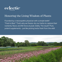 Eclectic Herb 90 capsules provide a practical daily supplement option