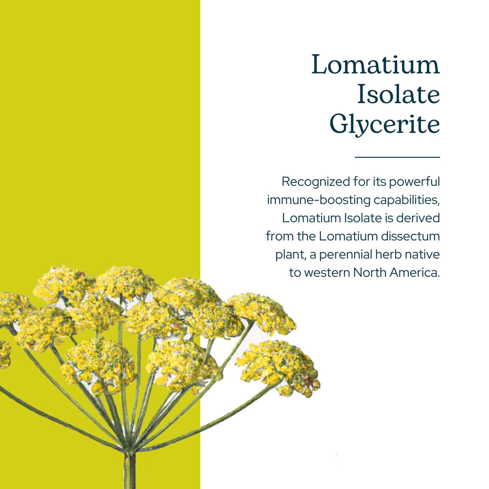 Eclectic Institute Lomatium Isolate Glycerite dropper enables precise dosing and potency