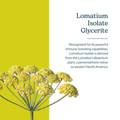 Eclectic Institute Lomatium Isolate Glycerite dropper enables precise dosing and potency
