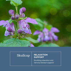 Eclectic Institute Skullcap plant leaf close-up highlights US-grown source.