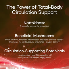 EcoNugenics Circutol nattokinase emphasizes potential circulation support
