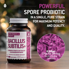 Ecosh prebiotic moringa and dandelion root ingredients on the label