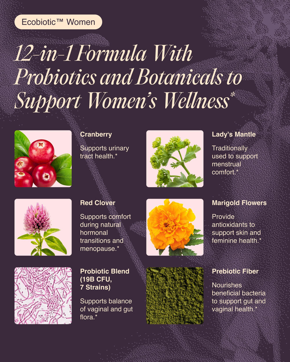Ecosh prebiotics inulin and FOS nourish gut bacteria for overall wellness.