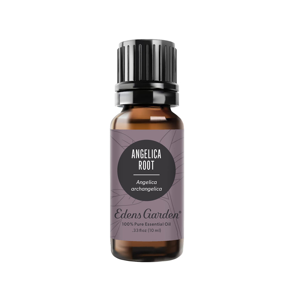 Edens Garden Angelica Root bottle for pure essential oil ready to diffuse