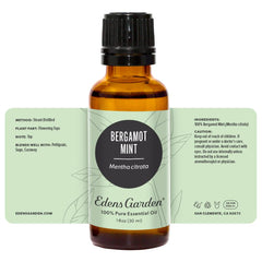 Edens Garden Bergamot Mint fragrance visuals suggesting citrus-mint notes.