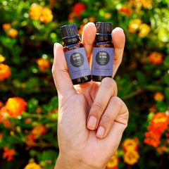 Edens Garden Calming The Mind diffuser scene conveys tranquil ambience