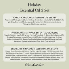 Edens Garden Christmas Blend cozy corner setup for seasonal wellbeing.