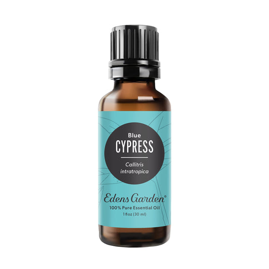 Edens Garden Cypress-Blue bottle, pure essential oil for diffusion and blends